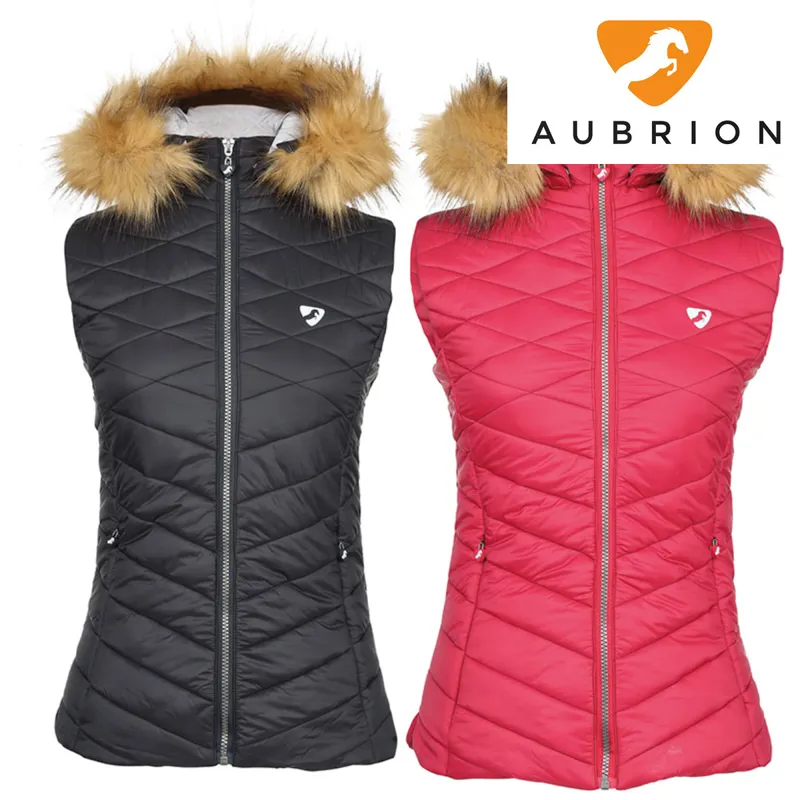 Aubrion Ladies Cinder Gilet - Black